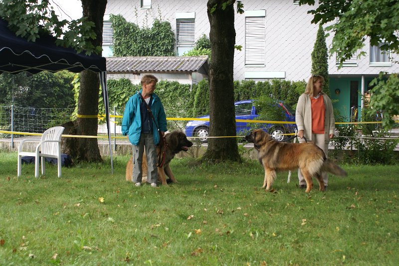 Nachzuchttreffen 08_08 026.jpg - Athos und Athena